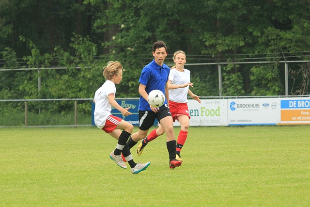 布里亚的